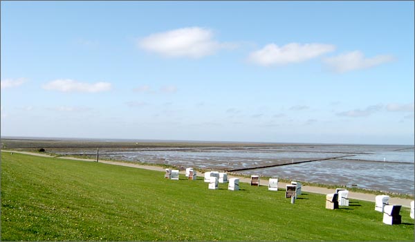 Strandk&ouml;rbe